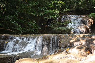 Scenic view of waterfall in forest