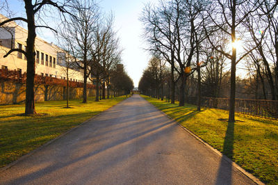 Road amidst trees and plants against sky