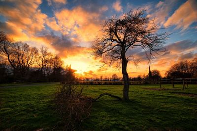 Scenic view of grassy field against sky at sunset