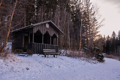 House by trees in forest during winter
