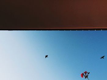 Low angle view of birds flying in sky