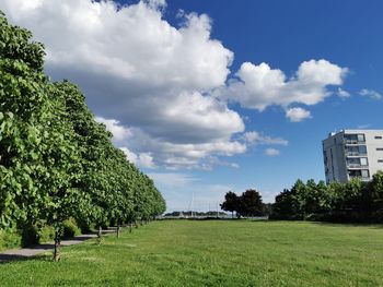 Trees on field against sky