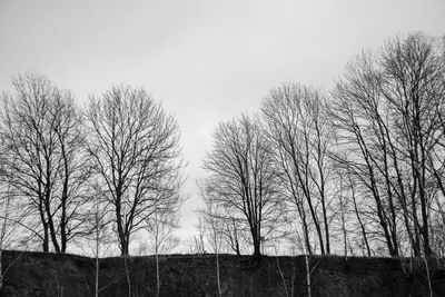 Low angle view of bare trees on field against sky