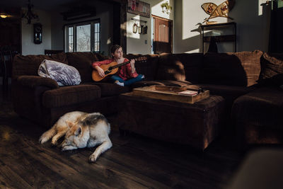 Dog sitting on sofa at home