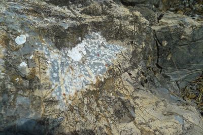Rocks in sea