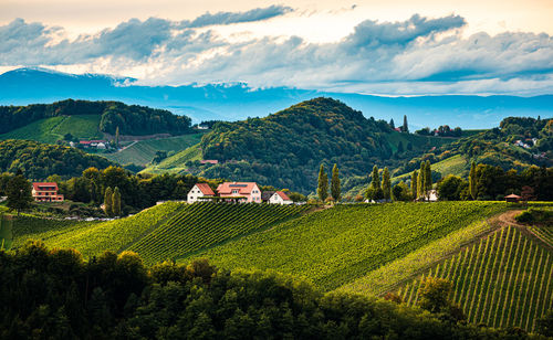 Styrian tuscany vineyard in autumn near eckberg, gamliz, styria, austria. tourist spot for wine 