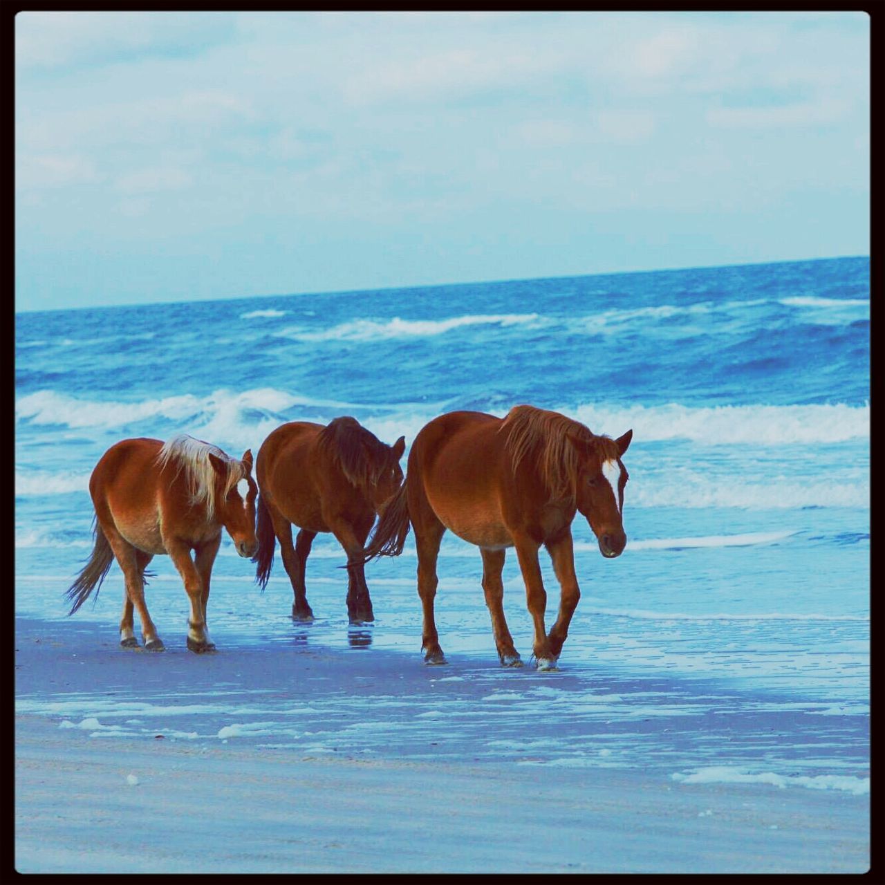 Outer Banks, NC