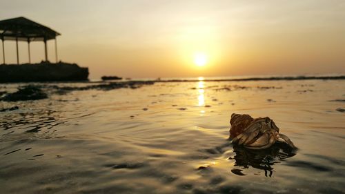 Scenic view of beach against sky during sunset