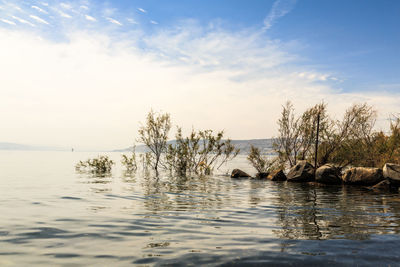 Scenic view of swimming in sea against sky