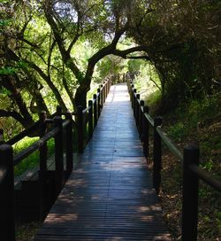 Footbridge on wooden walkway