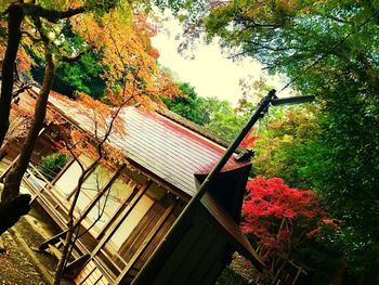 Low angle view of house against trees during autumn