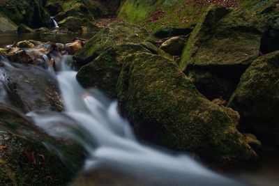 Scenic view of waterfall in forest