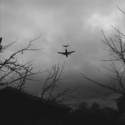 Low angle view of silhouette birds flying against sky