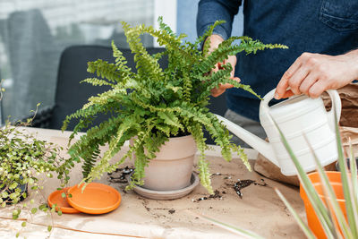 A young man transplants homemade flowers into pots. a gardener is watering a fern 