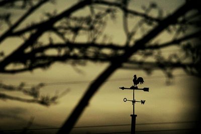 Low angle view of silhouette bare tree against sky