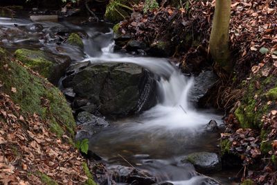 Scenic view of waterfall