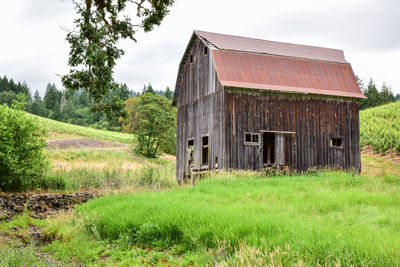 Rustic barn on vineyard hill