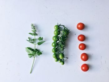 Close-up of tomatoes