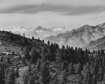 Panoramic view of trees on mountain against sky