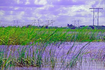 Scenic view of field against cloudy sky