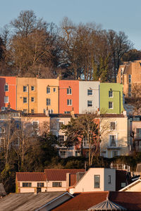 Houses and trees against clear sky