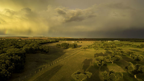 Scenic view of agricultural field against sky