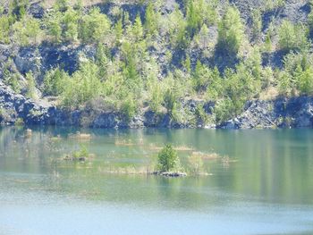 Scenic view of lake by trees