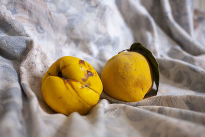 Close-up of oranges
