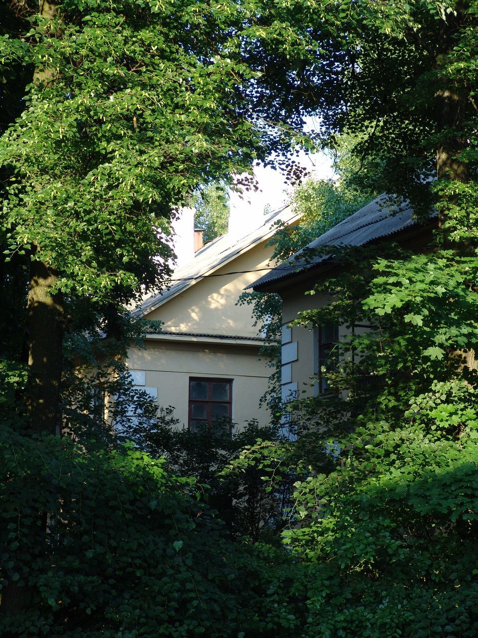 architecture, built structure, building exterior, tree, plant, growth, house, green color, residential structure, nature, front or back yard, leaf, no people, ivy, day, outdoors, sunlight, residential building, lush foliage, grass