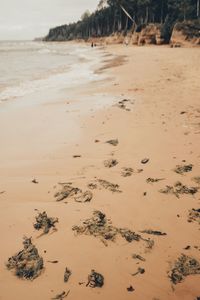 Close-up of crab on sand at beach against sky