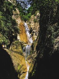 Scenic view of waterfall in forest