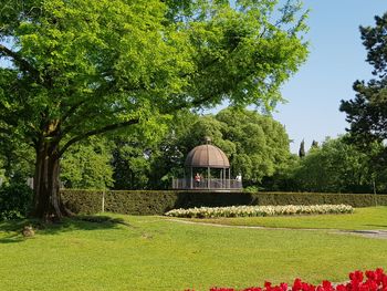 Gazebo in park