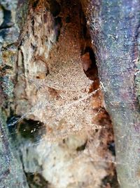 Full frame shot of rusty metal