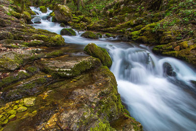 Scenic view of waterfall in forest