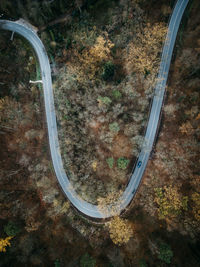 High angle view of road in forest