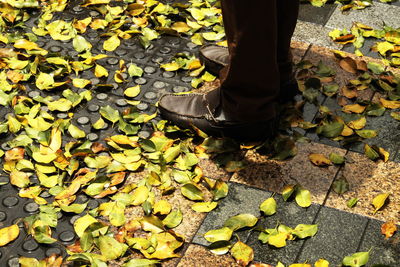 Low section of person standing on footpath during autumn