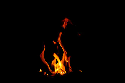 Close-up of fire at night