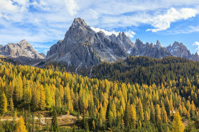 Scenic view of landscape and mountains against sky