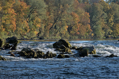 Scenic view of waterfall in forest