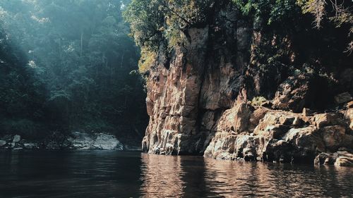 Scenic view of rocks in forest