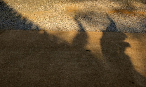 Shadow of man on wall