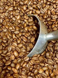 High angle view of coffee beans
