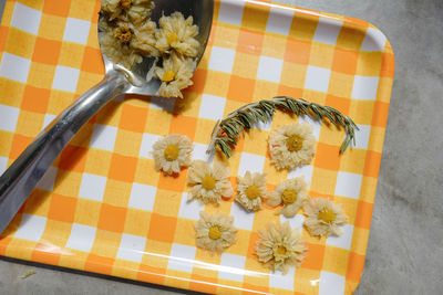 High angle view of flower pot on table