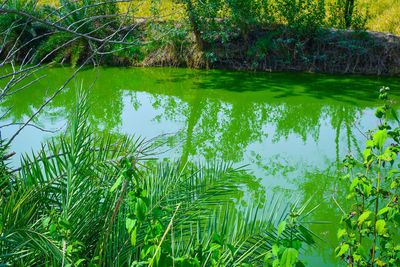 Scenic view of lake