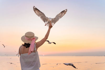 Rear view of woman feeding seagull against clear sky during sunset