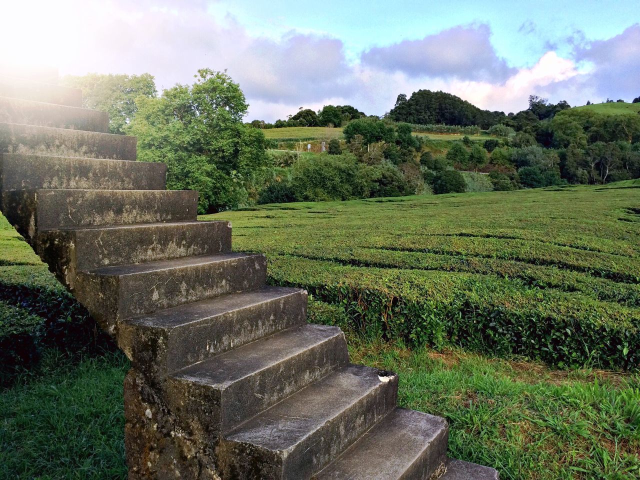 steps, field, sky, tree, nature, landscape, no people, outdoors, day, cloud - sky, steps and staircases, growth, tranquility, green color, beauty in nature, grass, scenics, built structure, architecture