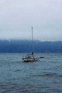 Sailboat sailing on sea against sky