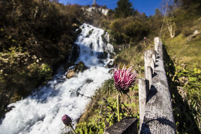 Close-up of waterfall on rock against sky