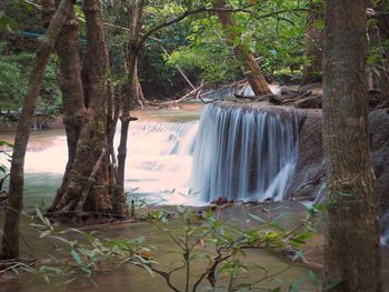 Scenic view of waterfall in forest