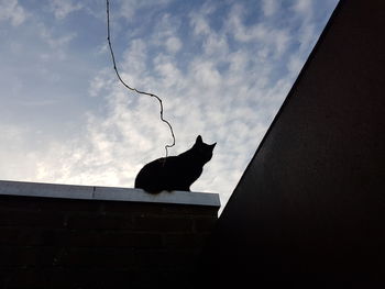 Low angle view of silhouette cat against sky